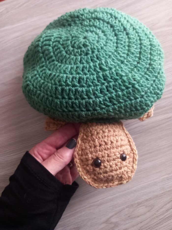 Turtle Memory Game - Image 5