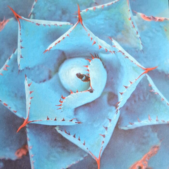 Origami Crane Mobile - Blue Nature - Moksi