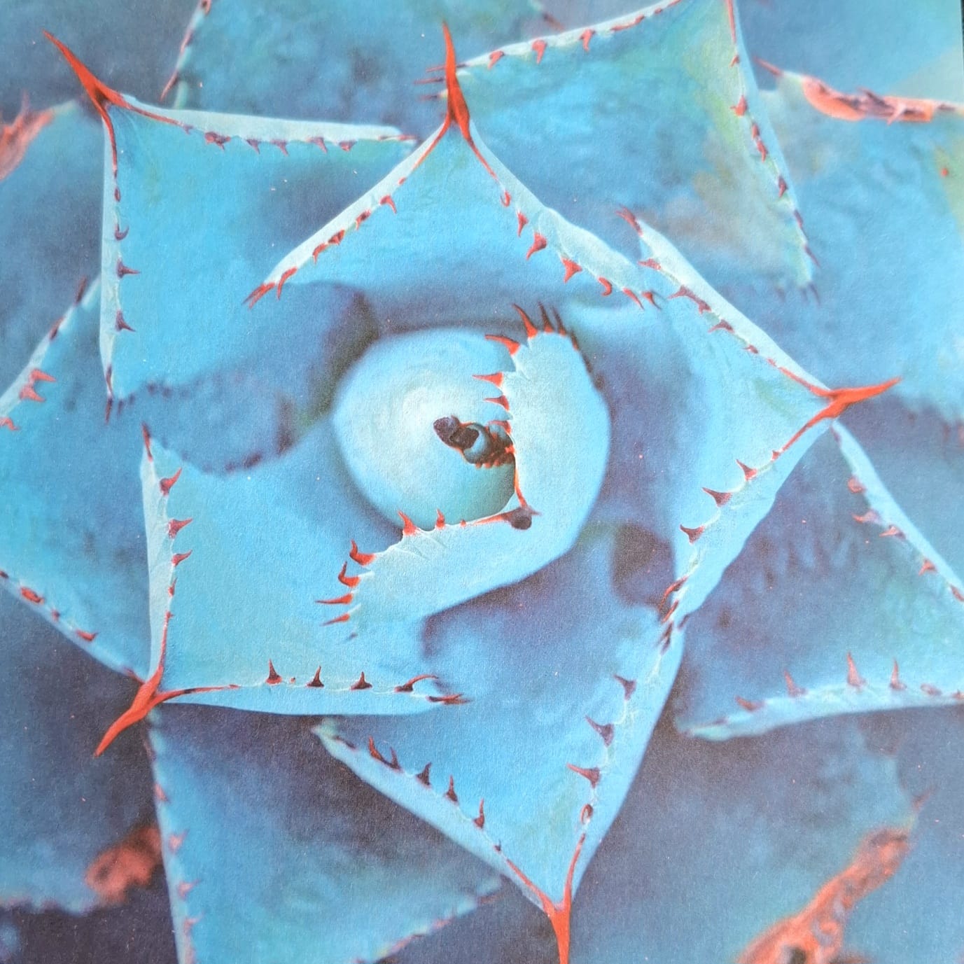 Origami Crane Mobile - Blue Nature - Image 6