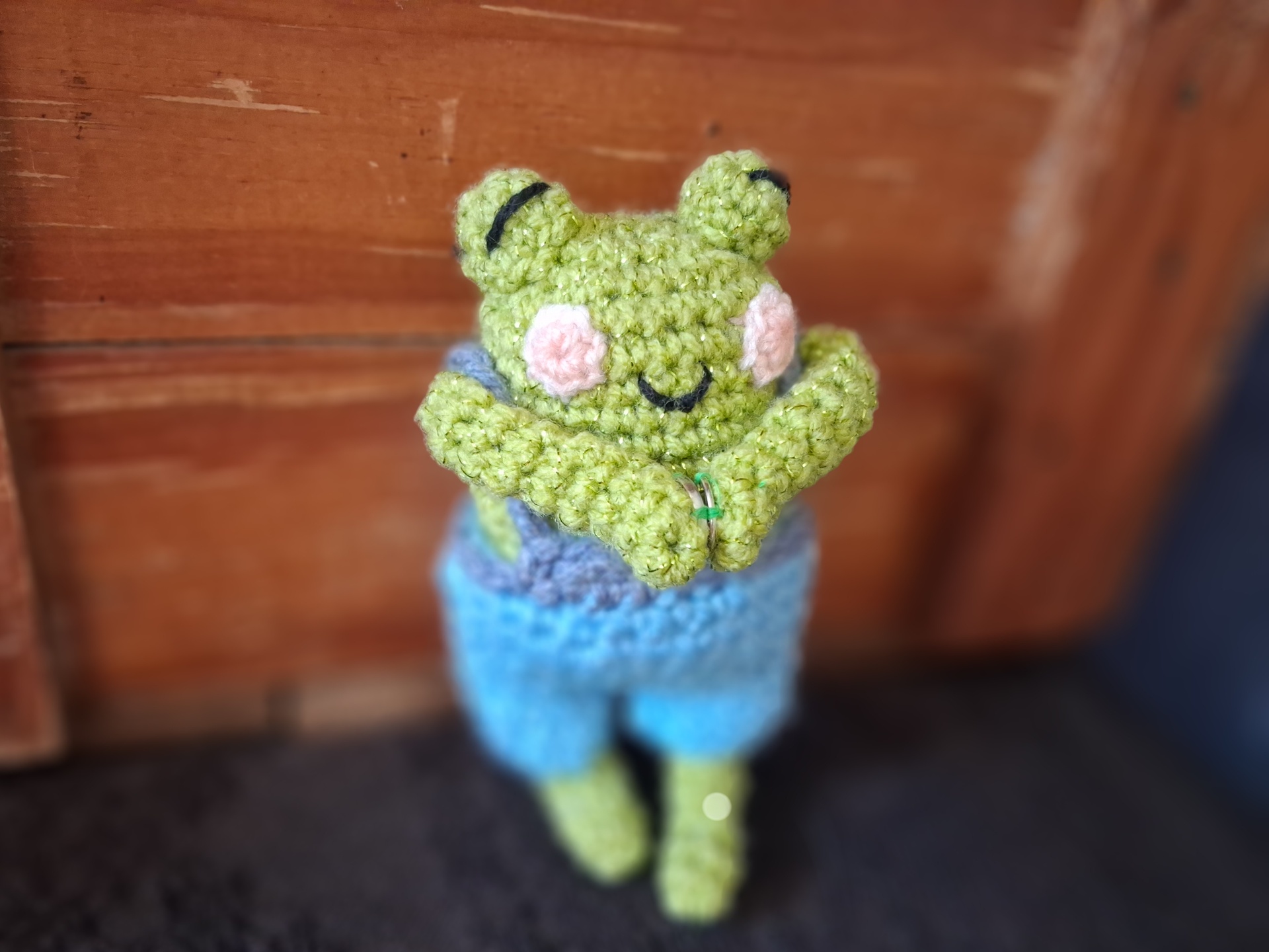 Frog Friend and Bag Charm - Image 6