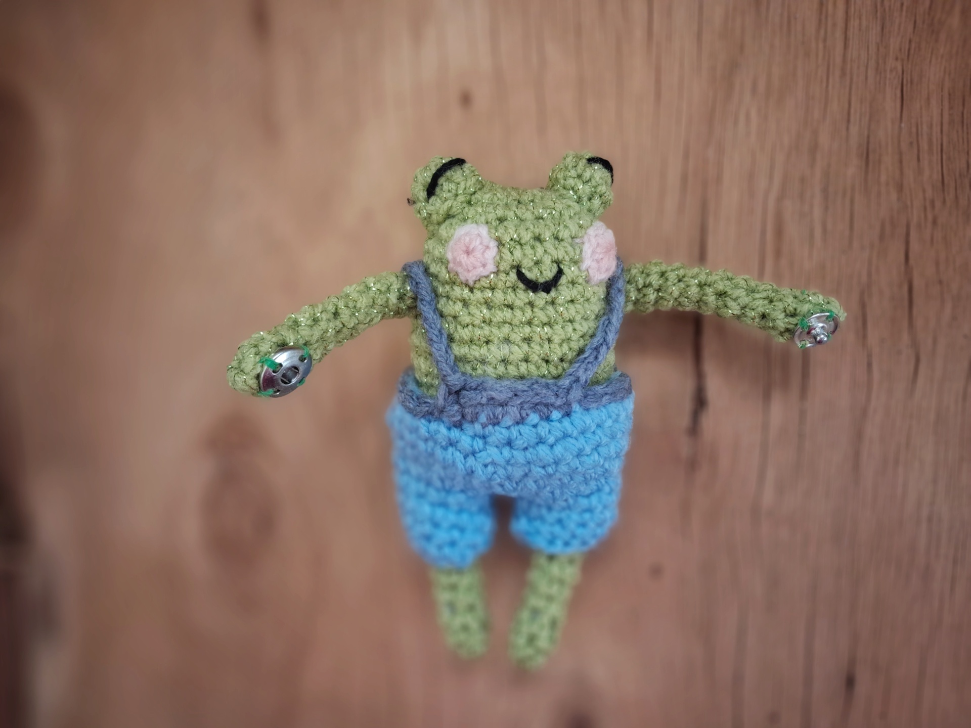 Frog Friend and Bag Charm - Image 9