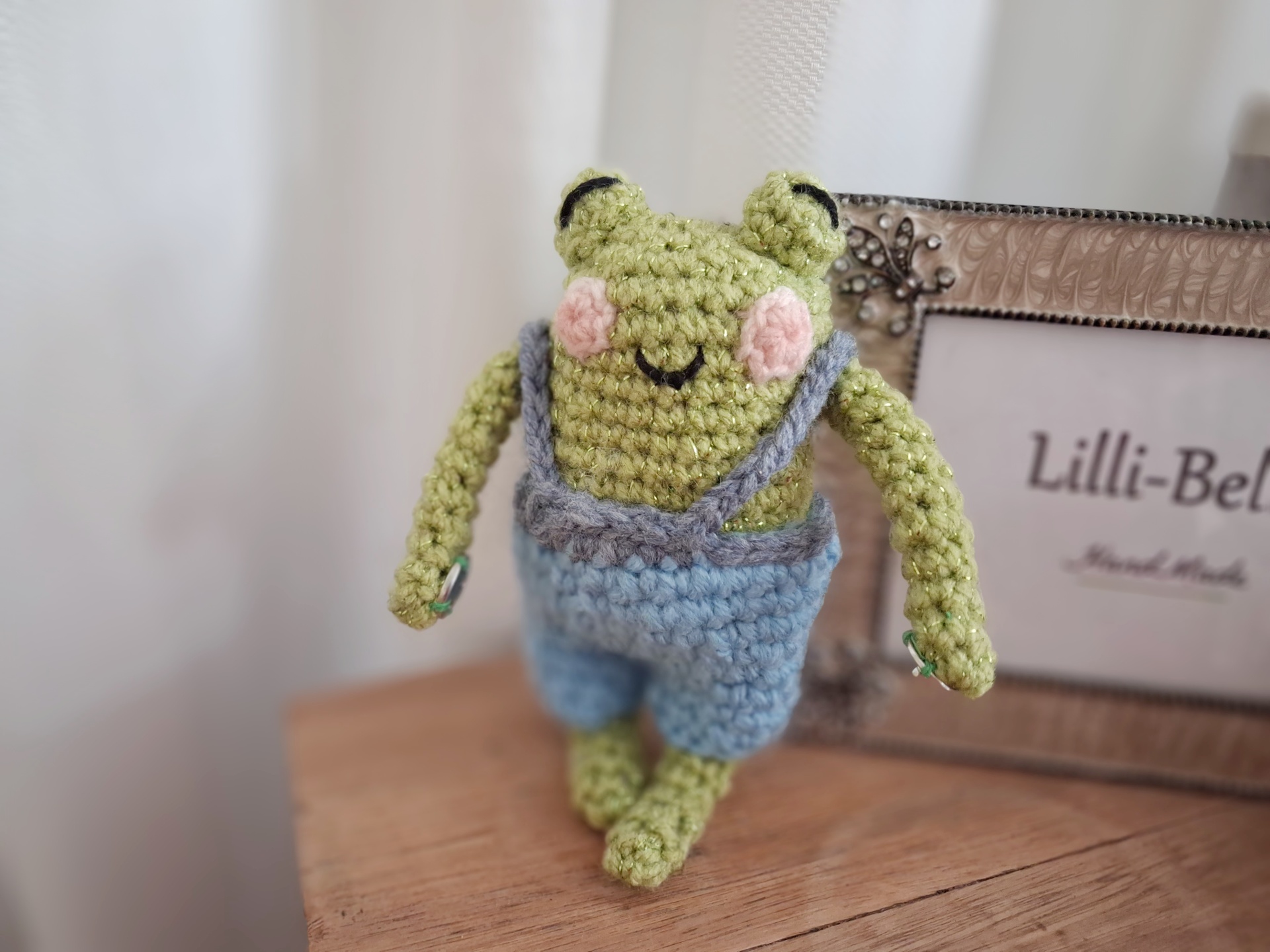 Frog Friend and Bag Charm - Image 4