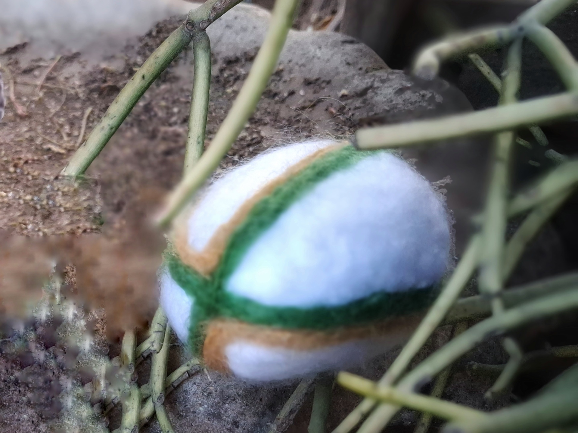 Frik the Springbok Rugby Doll - Image 3