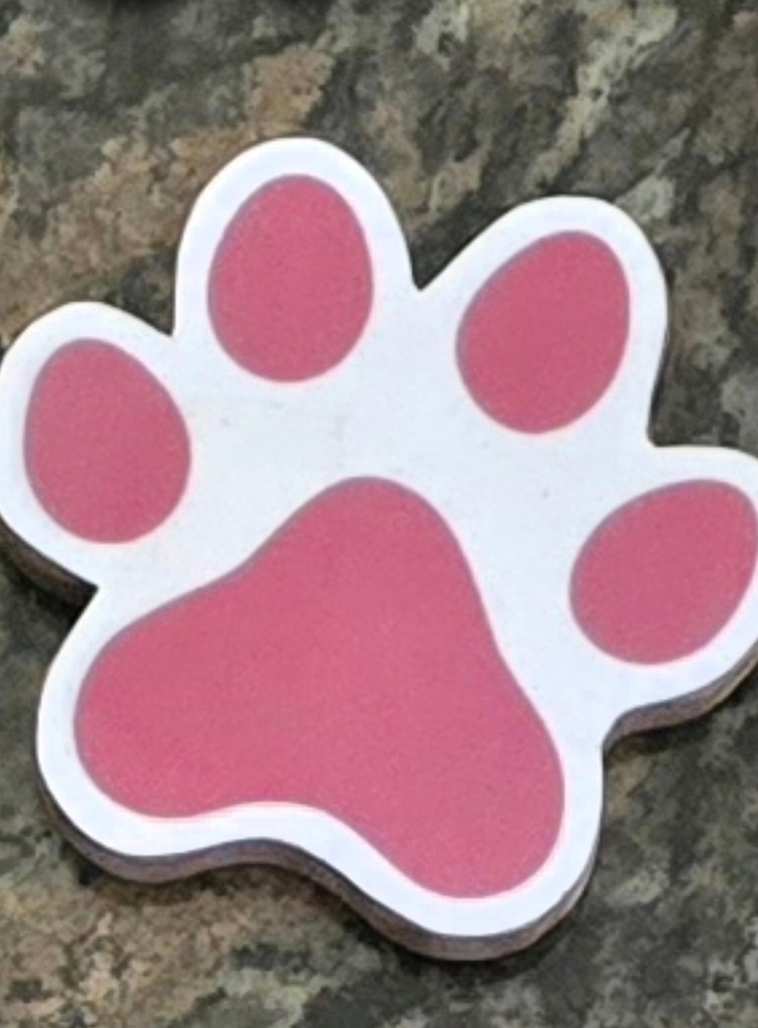 Personalised Paw Patrol Skye Wall Decor Set - Image 2