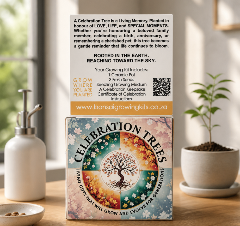 Celebration Trees - A Living symbol of Love and New Beginnings - Image 3